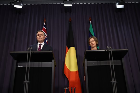 Health Minister Mark Butler and NDIS Minister Jenny McAllister.