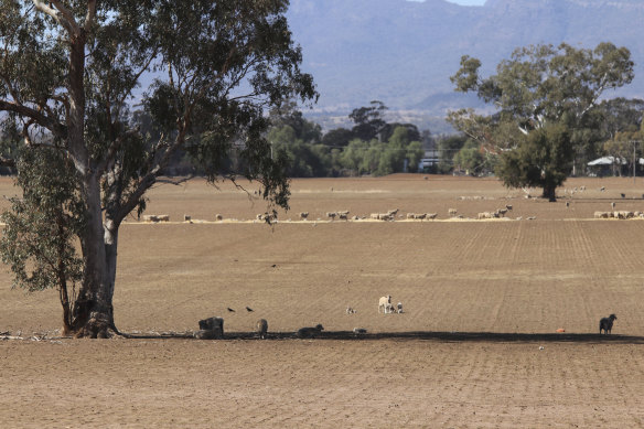 Gilgandra is to exit lockdown at midnight tonight.