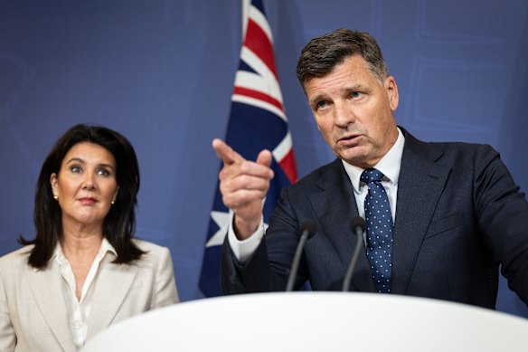 Opposition Leader Angus Taylor and deputy Liberal leader Jane Hume.