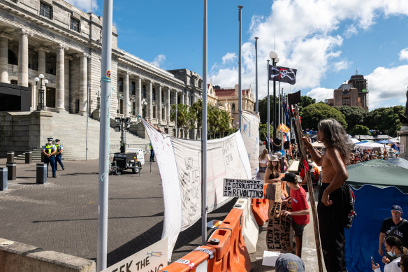 Demonstrators, pictured on Friday, have set up camp outside the Parliament building in Wellington, New Zealand.