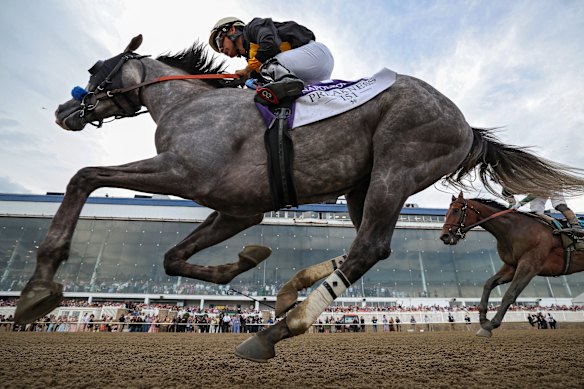 Napoleon Solo #10 ridden by jockey Paco Lopez crosses the finish line to win the 151st Preakness Stakes at Laurel Park  in Laurel, Maryland. 