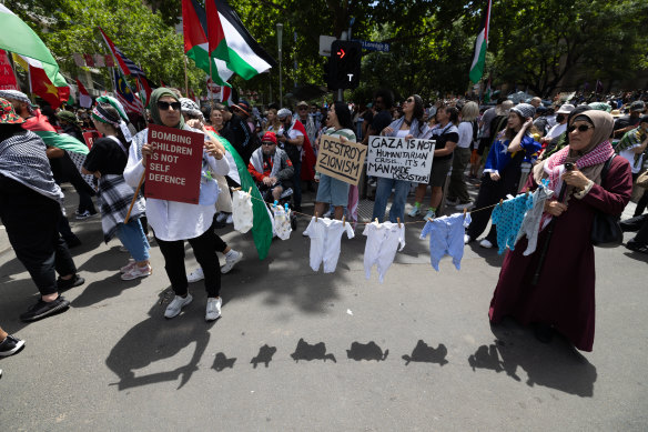 Speakers at the rally lambasted the Albanese government for its support of Israel and of the UK and US attacks on Yemen.