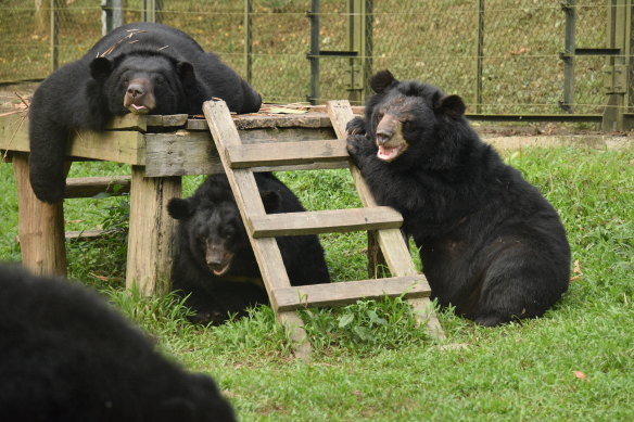 Structures are designed to stimulate natural behaviour and aid rehabilitation for the legacy of torture.