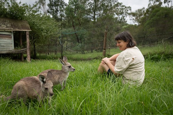 After 17 years as a WIRES member, Anna Culliton quit and joined another group.