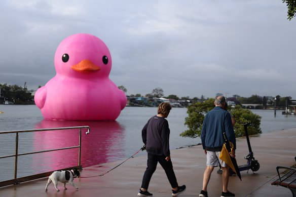 The duck will be on the river for the duration of the MELT festival.