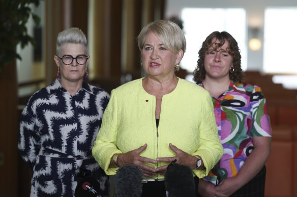 Senator Barbara Pocock speaks at federal parliament earlier on Tuesday.