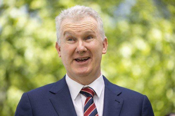 Minister for Employment and Workplace Relations Tony Burke in Canberra on Thursday.