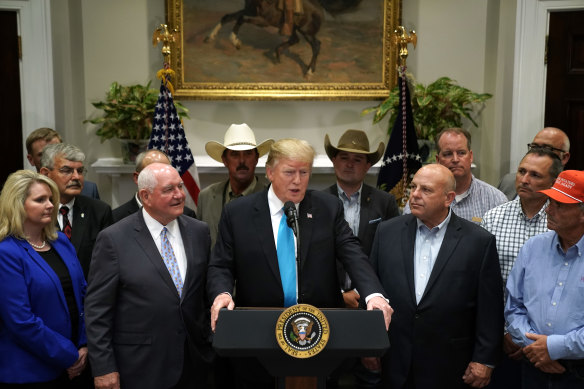 Trump talks about the trade war, flanked by farmers and ranchers, including one whose cap is emblazoned with Make Potatoes Great Again.