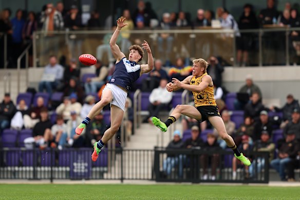 Sam Gayfer: AFL draft prospect smashes long-standing vertical jump ...