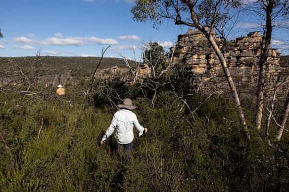 The proposal for the glamping site includes wooden cabins with canvas roofs plus a communal kitchen and bathroom, and greywater disposal.