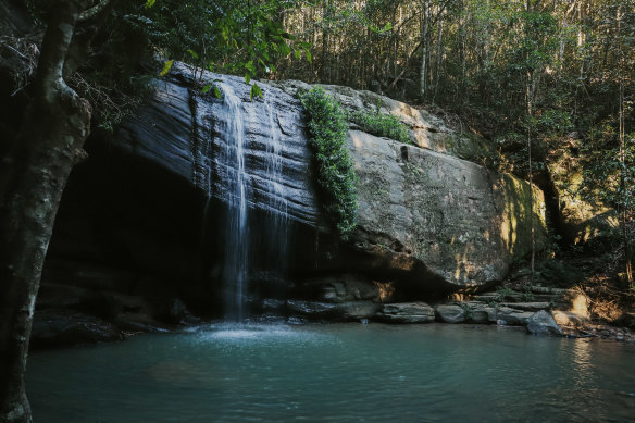 Picnic serenity at Buderim Falls.