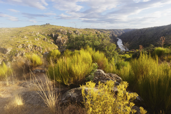 The Tras-os-Montes district in the north of Portugal.