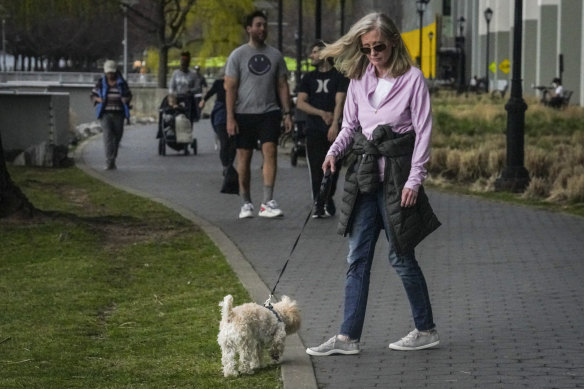 New York City vets are growing alarmed by an apparent rise in marijuana poisonings among dogs that ingest discarded joints and edibles on city sidewalks.  