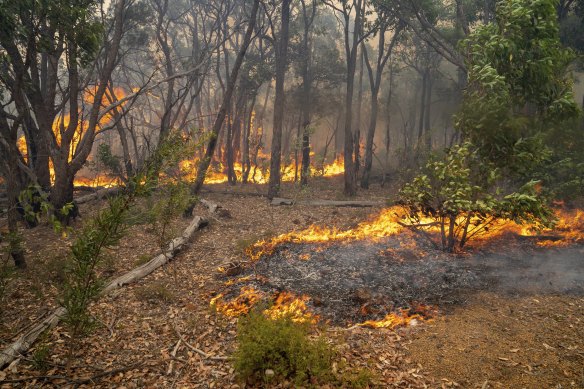 Wooroloo fire.