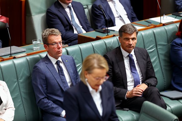 Possible challenger Angus Taylor (right) sits behind Sussan Ley during question time on Tuesday.