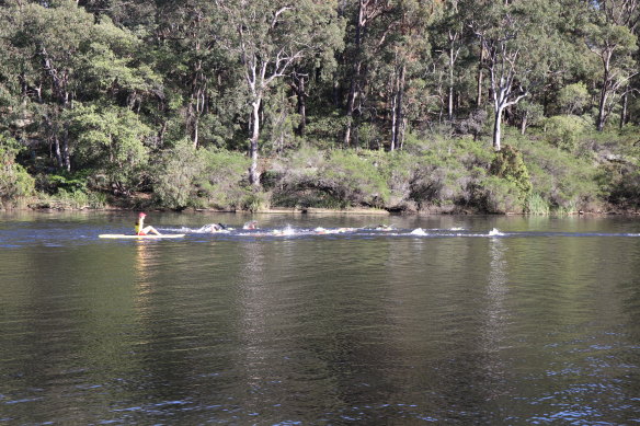 The man disappeared after being spotted at Lake Parramatta on Saturday evening. 