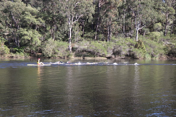 Body found in Lake Parramatta following car accident