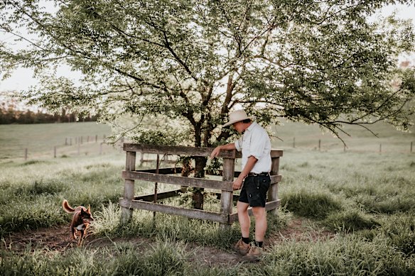 The Food Farm raises animals on a network of leased farms.