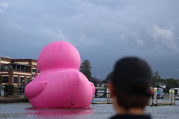 A CityCat worker views the sculpture, which is installed next to the Brisbane Powerhouse.