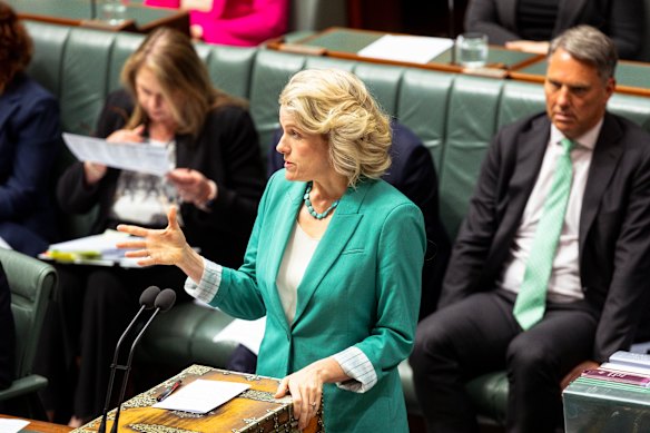 Housing Minister Clare O’Neil this week.