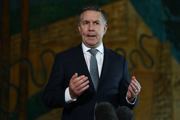 Health Minister Mark Butler.