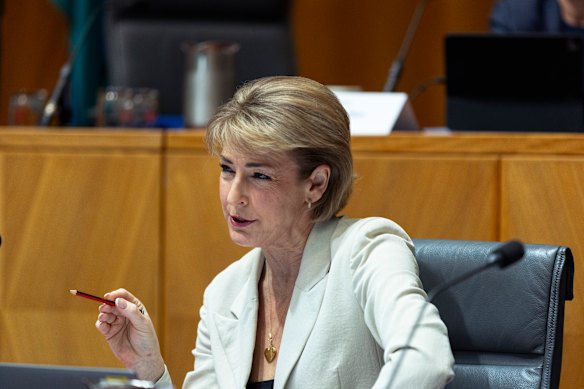 Liberal MP Michaelia Cash has claimed the travel allowance more frequently than any other senior politician.