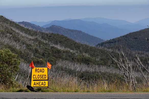 The closure of Bogong High Plains Road has devastated businesses at Falls Creek. 