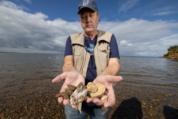 The beach is responsible for some of Australia’s best fossil finds.