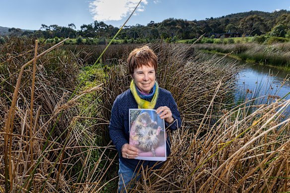 Ecologist Barbara Wilson on Loughnan’s property with a photograph of native fauna detected there. 