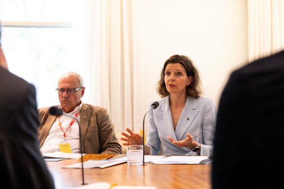 Former Treasury secretary and independent MP Allegra Spender during a tax reform green paper conference in 2024. 
