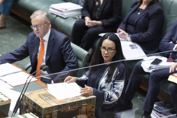 总理 Anthony Albanese 和澳大利亚原住民部长 Linda Burney 因 Voice 缺乏细节而面临批评。