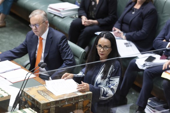 Prime Minister Anthony Albanese and Indigenous Australians Minister Linda Burney have faced criticism over a lack of detail on the Voice.