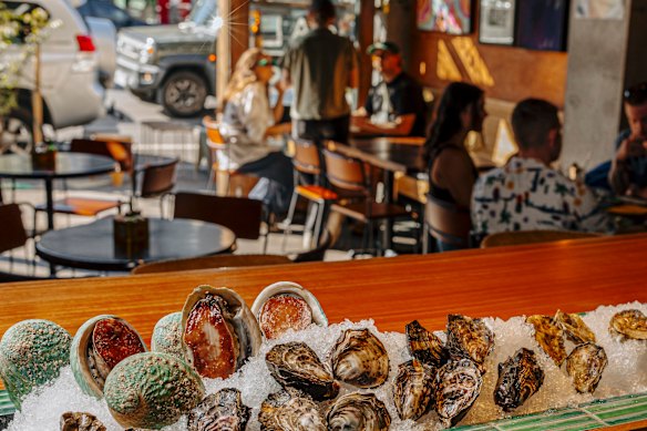 Oysters sit on ice at the bar at Walrus.