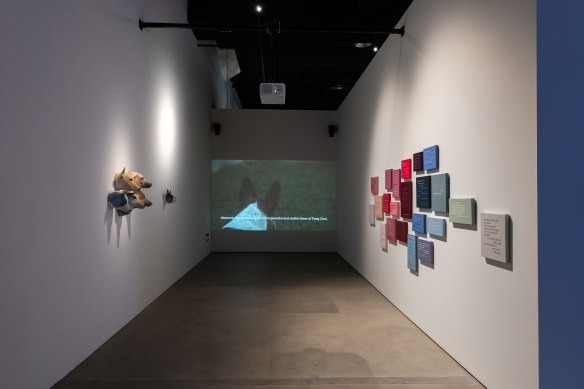 Installation view of Araya Rasdjarmrearnsook’s Philosophical Theater of Animals (2019) and Dogs’ Palatial House (2022) as part of Singapore Biennale 2022 named Natasha.