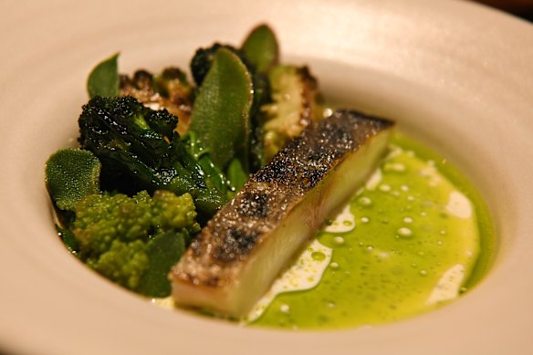 Cobia with fermented chilli, buttermilk sauce and brassicas.