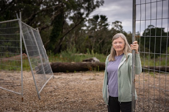 Blue Mountains Conservation Society president Annette Cam opposes the development on Narrow Neck Road in Katoomba.