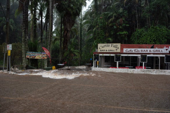 Flooding at the Curtis Falls track in Tamborine National Park.