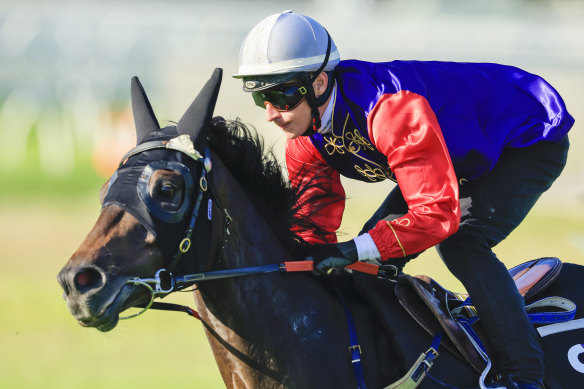 Australia Day Cup winner Chalk Stream gallops for James McDonald last February.