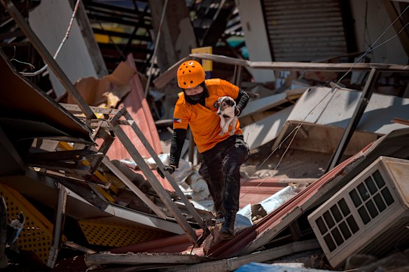 Ceedee, a rescue dog, is carried by a rescue worker as they search for survivors under the rubble of a building that collapsed following a magnitude 7.8 earthquake in General Santos, Sarangani province, Philippines.