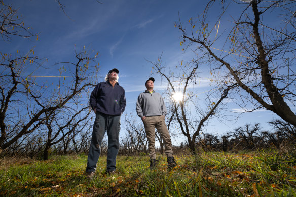 Max Wright and his son, Joey, are among the local growers whose fruit orders have been cut.