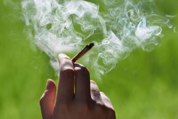 Cannabis consumption in Queensland fell by more than one-third since August 2021.
