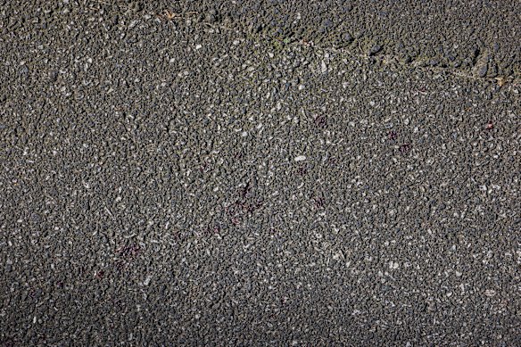 Blood spatter on the footpath.