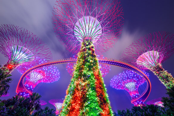 Night lights on the Supertrees.