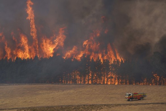 A forest fire tears through a pine plantation between Tooma and Tumbarumba in southern NSW.