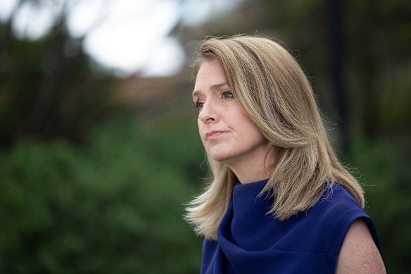 “More tools to combat and prevent violent extremism”: NSW Opposition Leader Kellie Sloane.