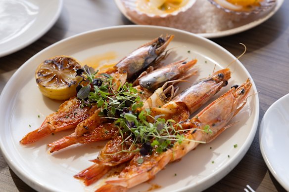 Skull Island shrimp. 