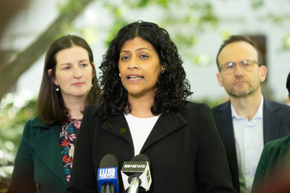 Greens leader Samantha Ratnam said the situation has moved from crisis to catastrophe in Victoria.