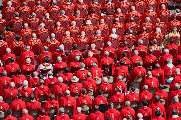 Cardinals attend the Mass at St Peter’s Basilica.
