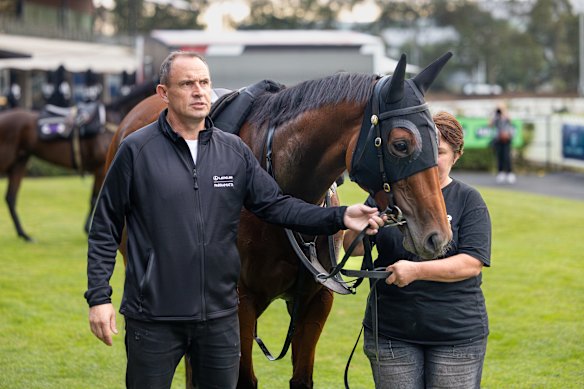 Trainer Chris Waller with Autumn Glow at Rosehill track work on Thursday.