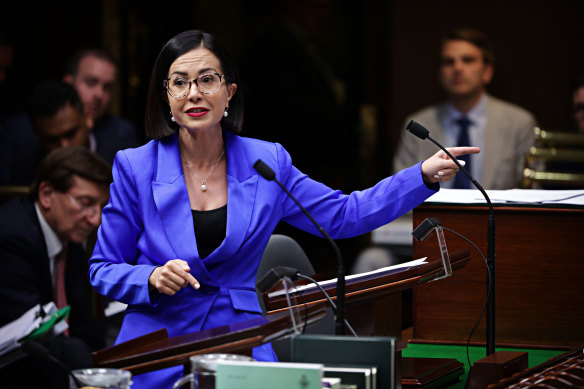 Education Minister Prue Car speaking during question time inside NSW parliament.